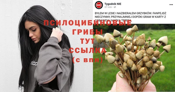 синтетический гашиш Алексин