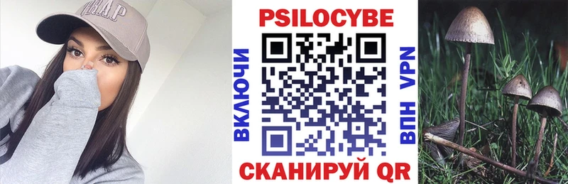 OMG ONION Пикалёво Галлюциногенные грибы Magic Shrooms где купить